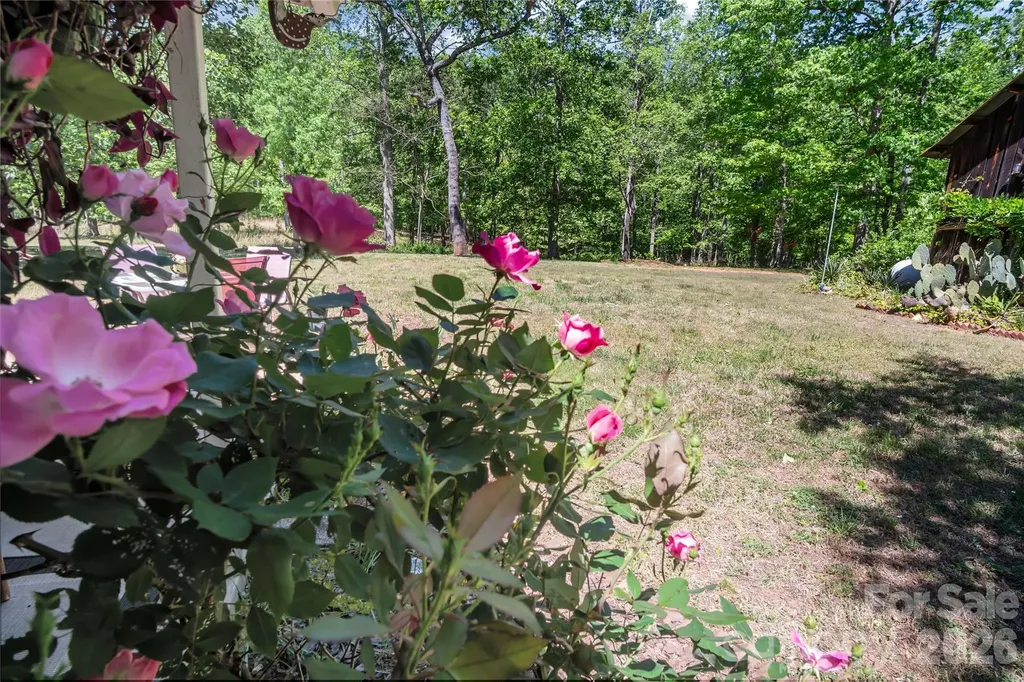 283 Constant Lane Columbus NC 28722