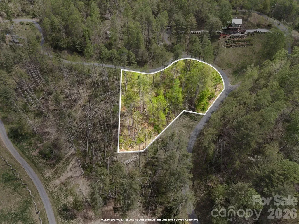 0000 Mountain Crest Drive Bakersville NC 28705