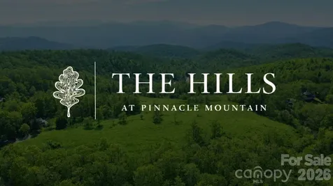 4105 Pinnacle Mountain Road Zirconia NC 28790