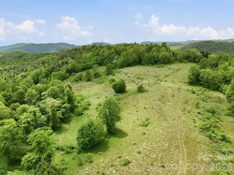 4105 Pinnacle Mountain Road Zirconia NC 28790
