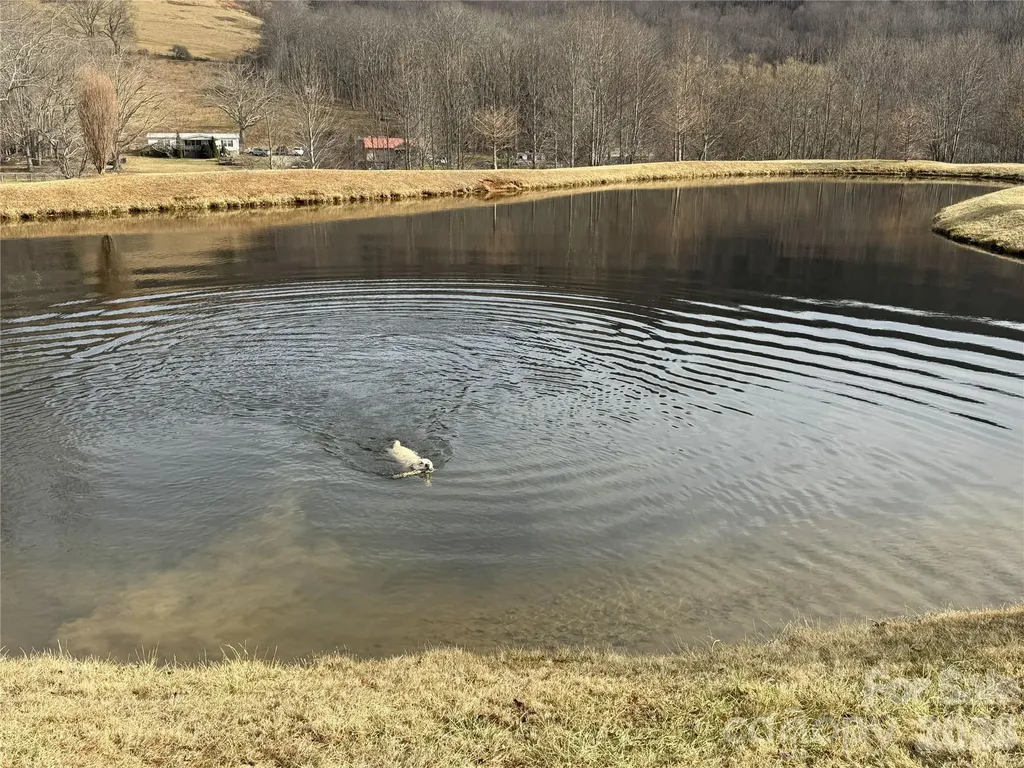 Lot 47a Elk Creek Mountain Parkway Todd NC 28684