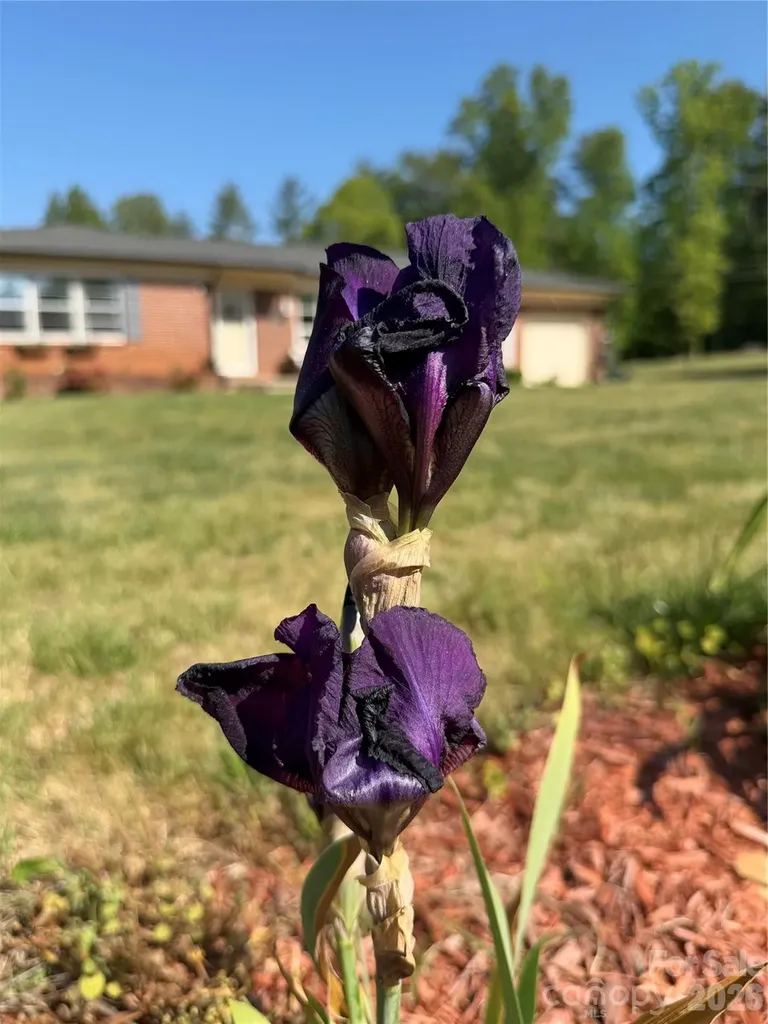 3162 Morganton Boulevard SW Lenoir NC 28645