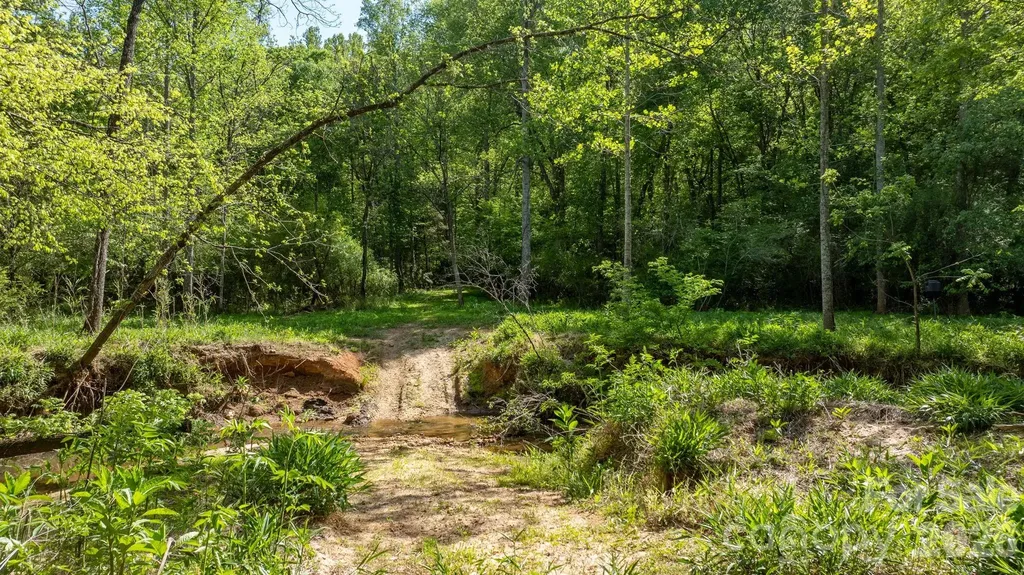 256 Long Leaf Pine Drive Hiddenite NC 28636
