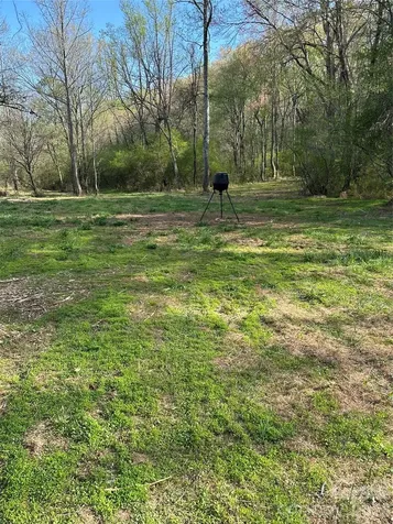 256 Long Leaf Pine Drive Hiddenite NC 28636