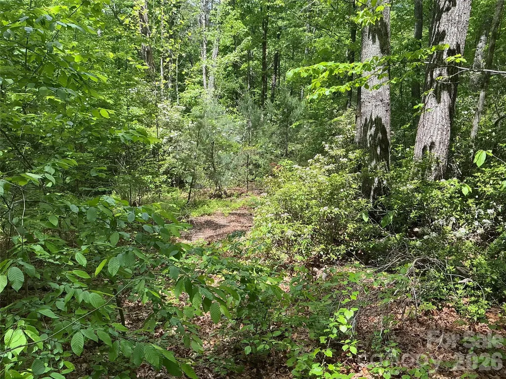 00 Green River Cove Road Saluda NC 28773