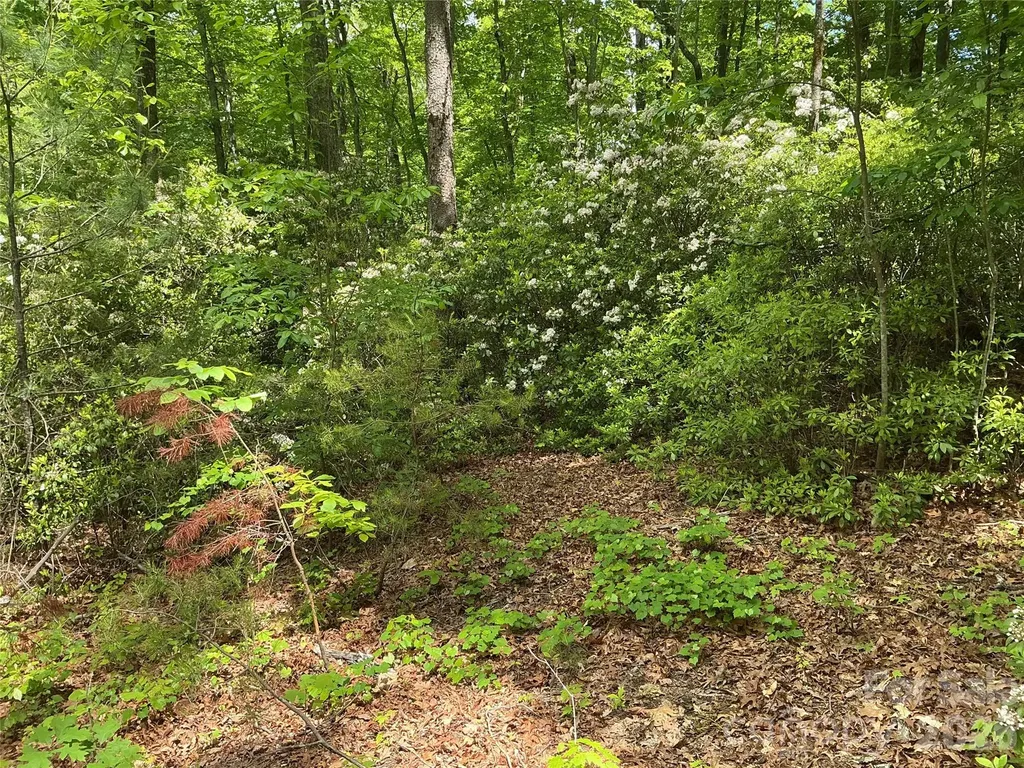 00 Green River Cove Road Saluda NC 28773