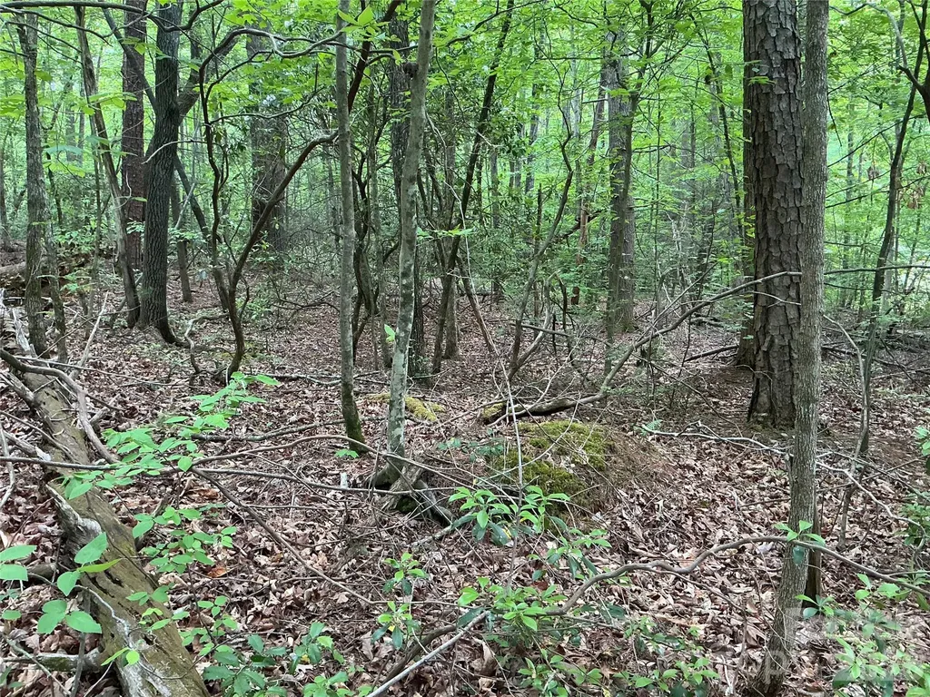 00 Green River Cove Road Saluda NC 28773