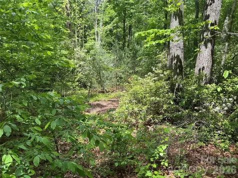 00 Green River Cove Road Saluda NC 28773