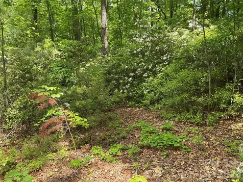 00 Green River Cove Road Saluda NC 28773