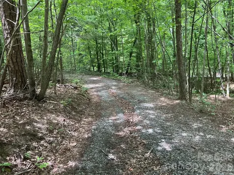00 Green River Cove Road Saluda NC 28773