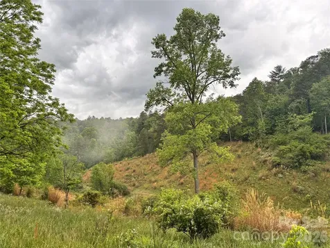 191 Posey Griffin Drive Mars Hill NC 28754