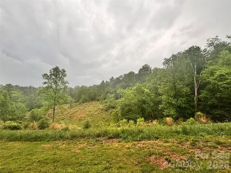 191 Posey Griffin Drive Mars Hill NC 28754