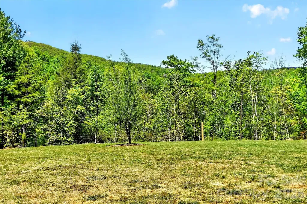50 Glass Falls Trail Black Mountain NC 28711