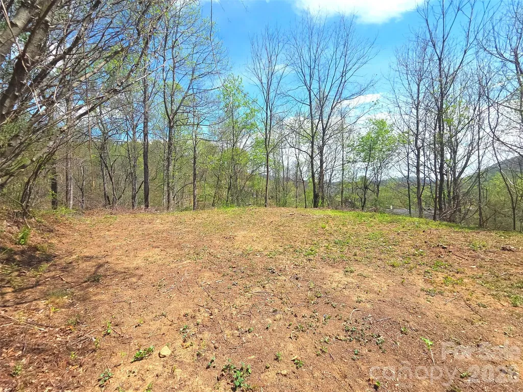 50 Turtle Rock Lane Waynesville NC 28785