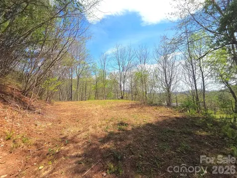 50 Turtle Rock Lane Waynesville NC 28785