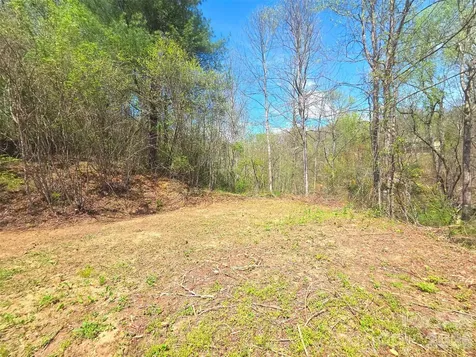 50 Turtle Rock Lane Waynesville NC 28785