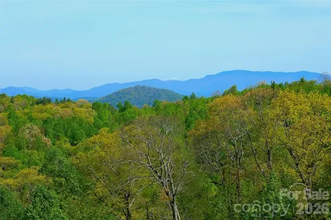 551 Carvers Knob Road Spruce Pine NC 28777