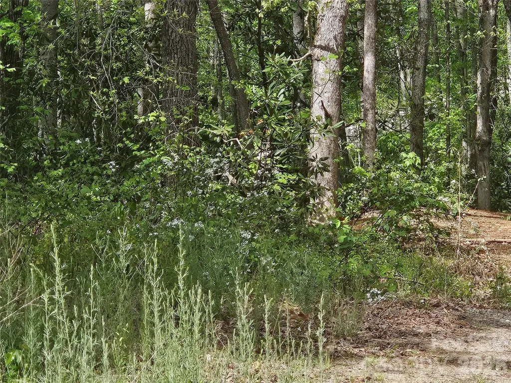 22 Graulich Lane Candler NC 28715