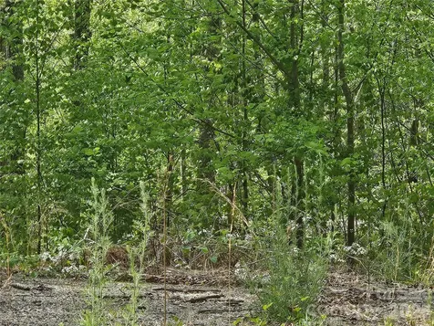 22 Graulich Lane Candler NC 28715
