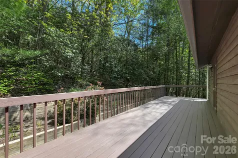 71 Elseetos Drive Brevard NC 28712
