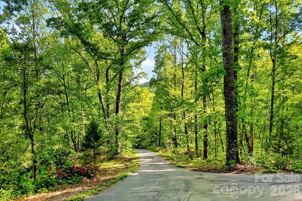 221 Hammer Hollow Drive Marion NC 28752