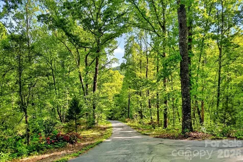 221 Hammer Hollow Drive Marion NC 28752