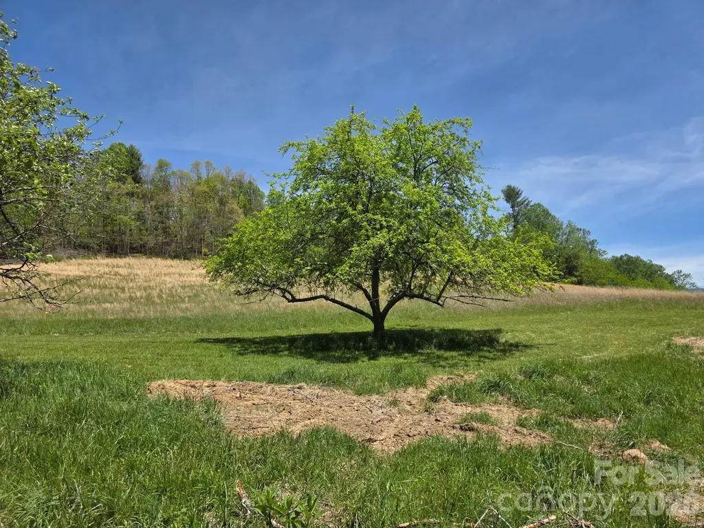 Tbd Sierra Drive Bakersville NC 28705