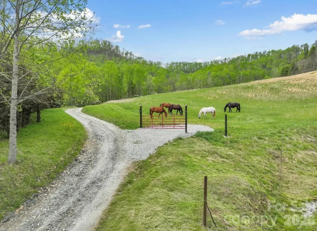 Tbd Sierra Drive Bakersville NC 28705