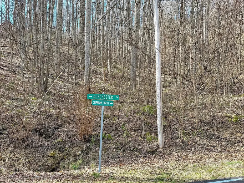 Tbd Chipmunk Circle Waynesville NC 28785