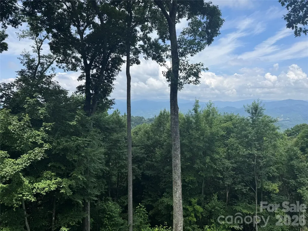 337 Rhododendron Lane Burnsville NC 28714