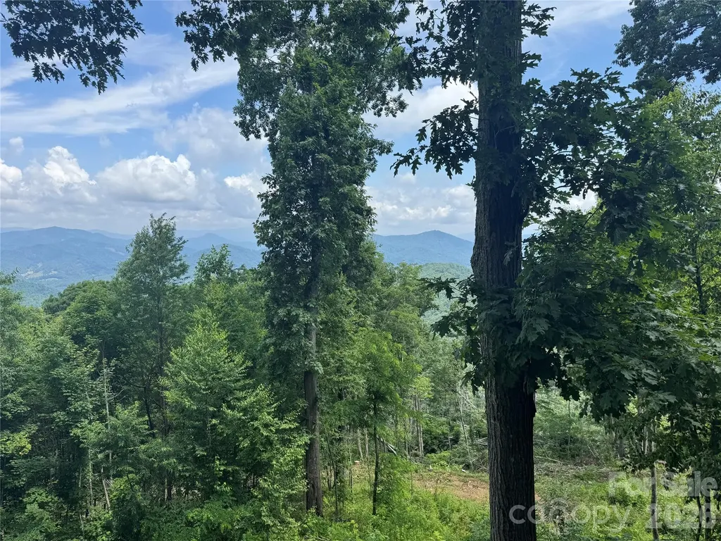 337 Rhododendron Lane Burnsville NC 28714