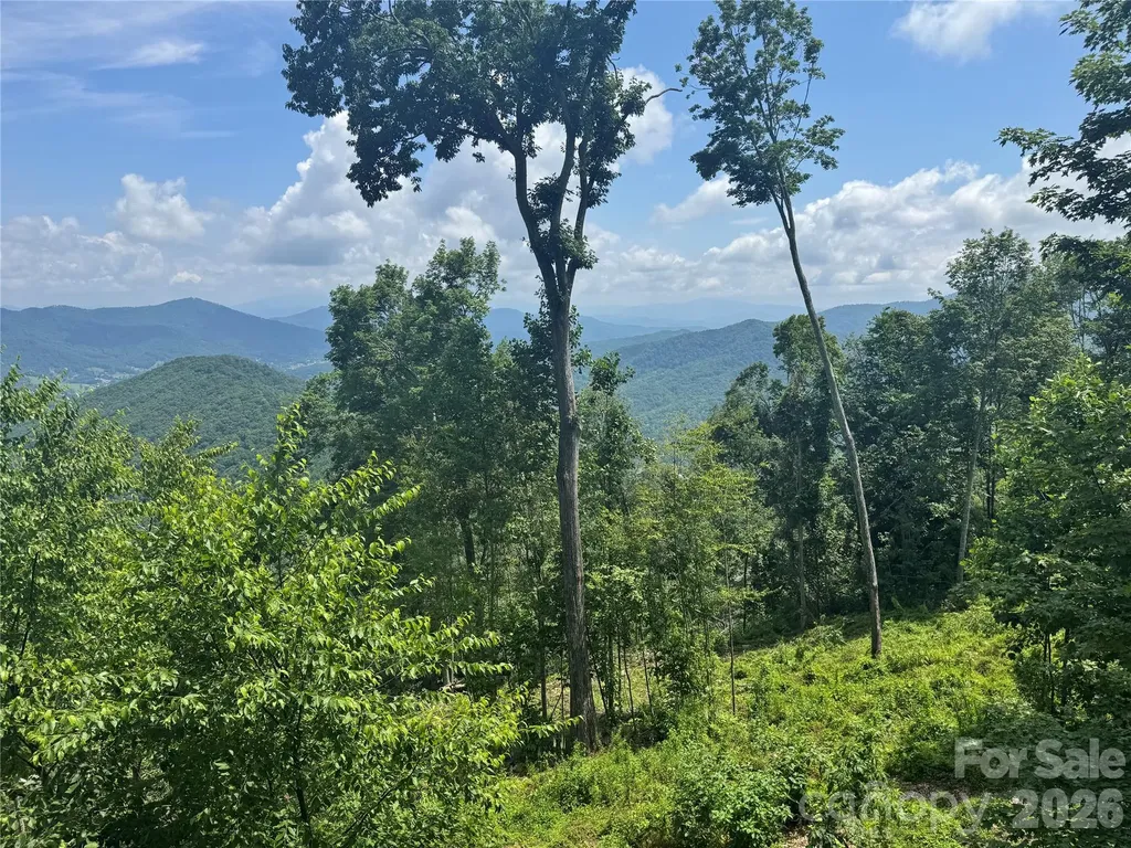 337 Rhododendron Lane Burnsville NC 28714