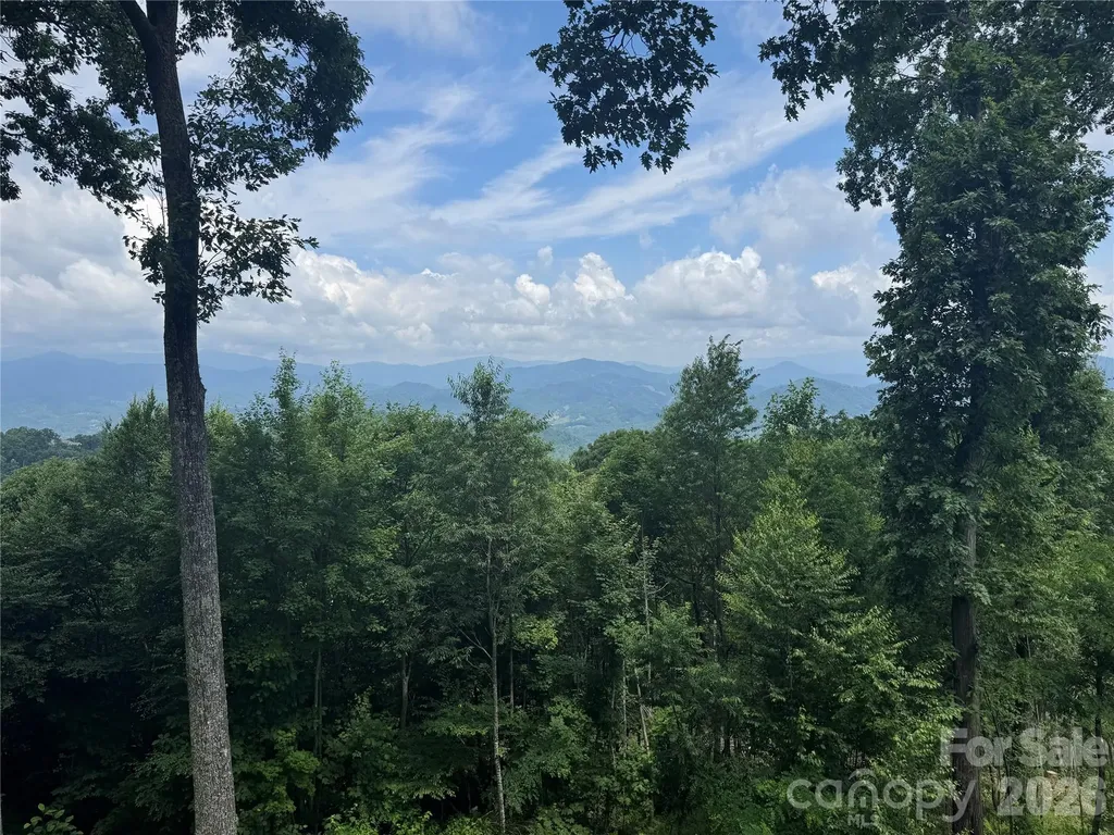 337 Rhododendron Lane Burnsville NC 28714