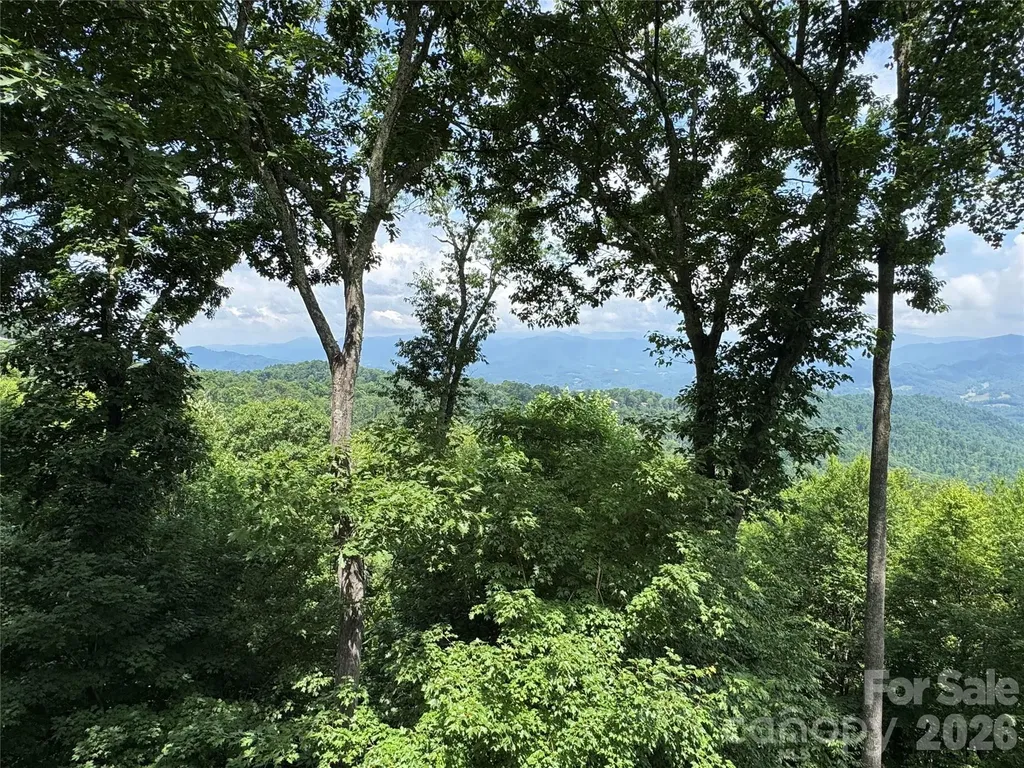 337 Rhododendron Lane Burnsville NC 28714