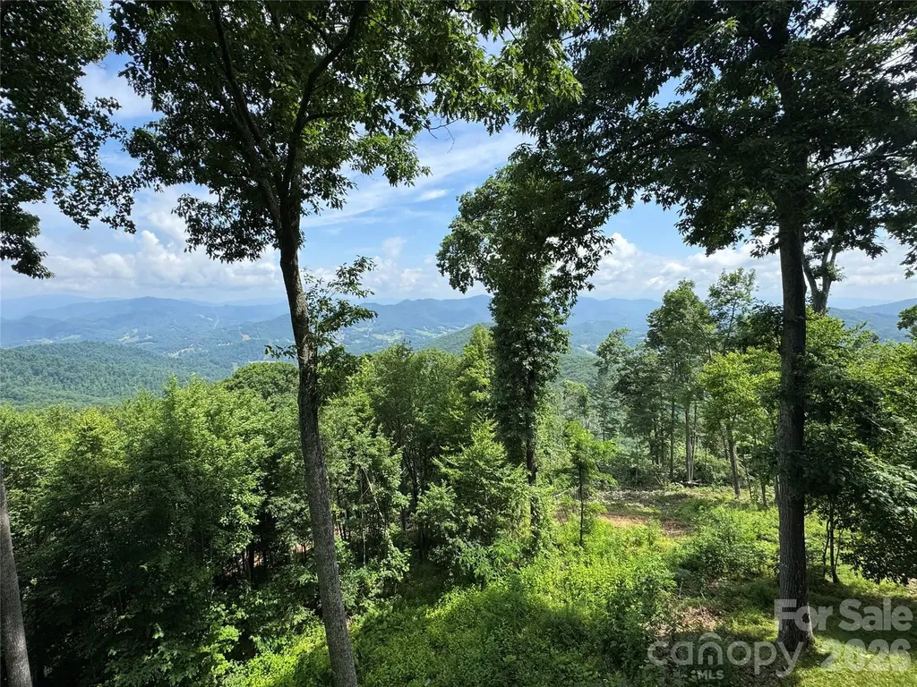 337 Rhododendron Lane Burnsville NC 28714