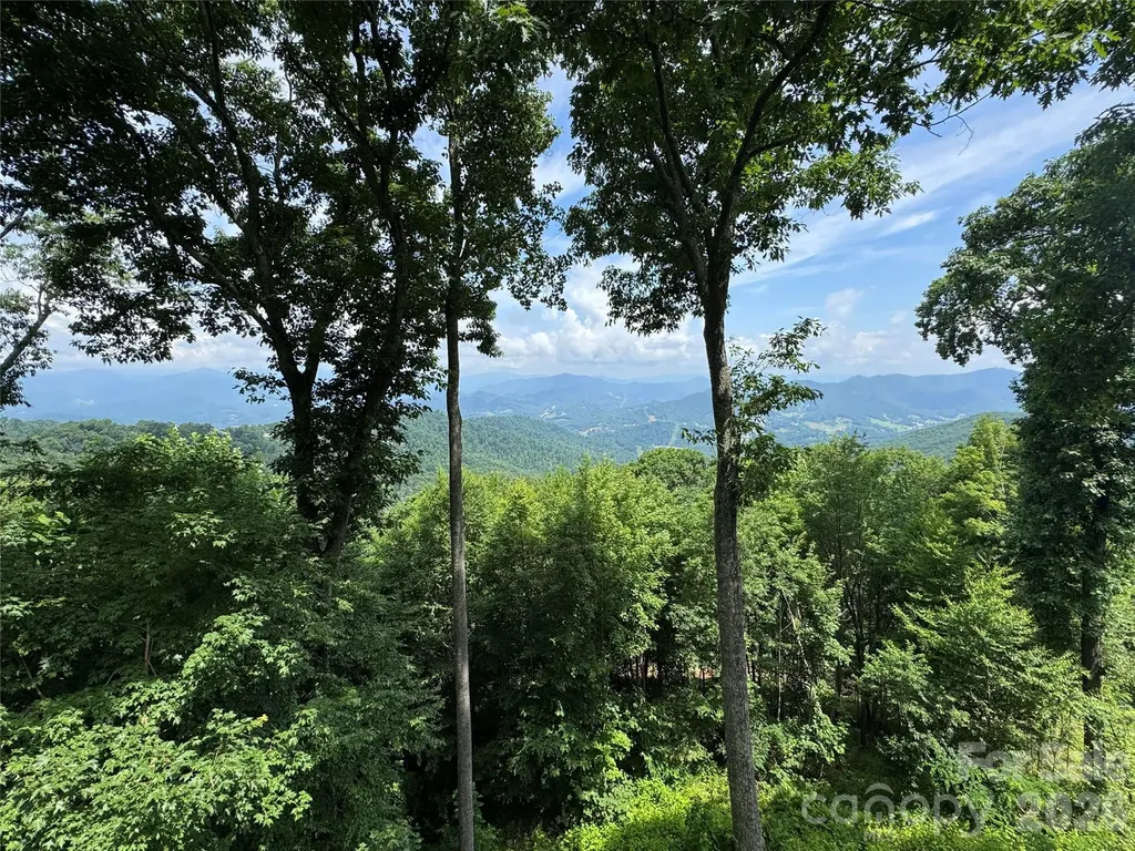 337 Rhododendron Lane Burnsville NC 28714