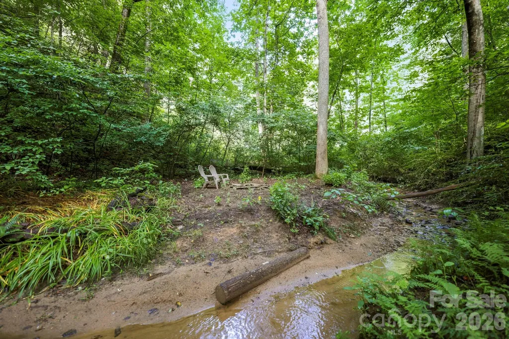 316 Big Raven Lane Saluda NC 28773