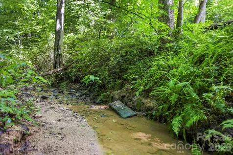 316 Big Raven Lane Saluda NC 28773