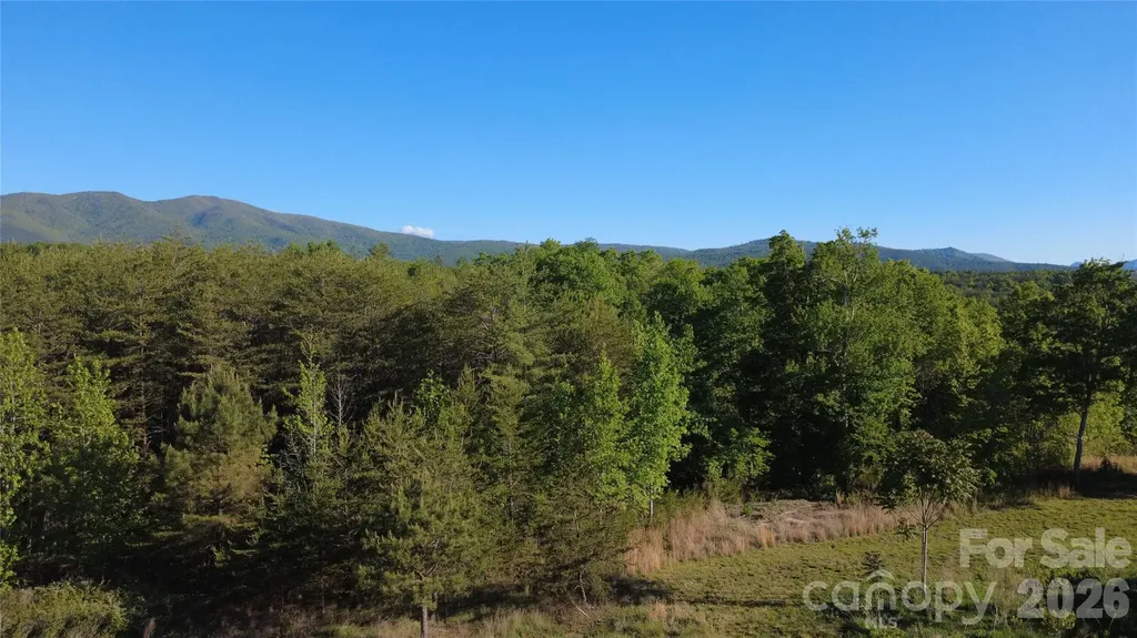 431 Ridge Point Road Nebo NC 28761