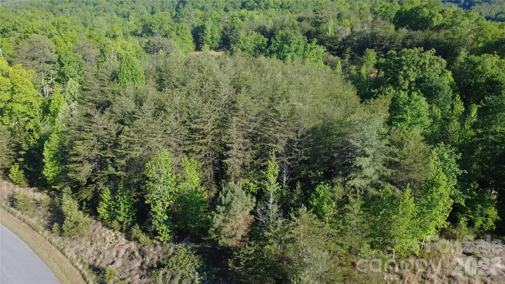 431 Ridge Point Road Nebo NC 28761