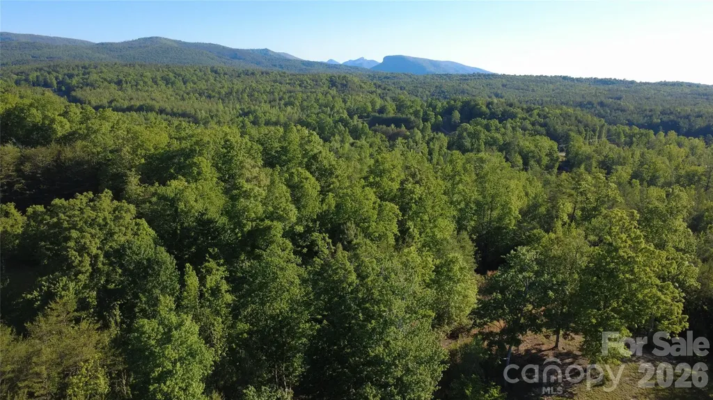 431 Ridge Point Road Nebo NC 28761