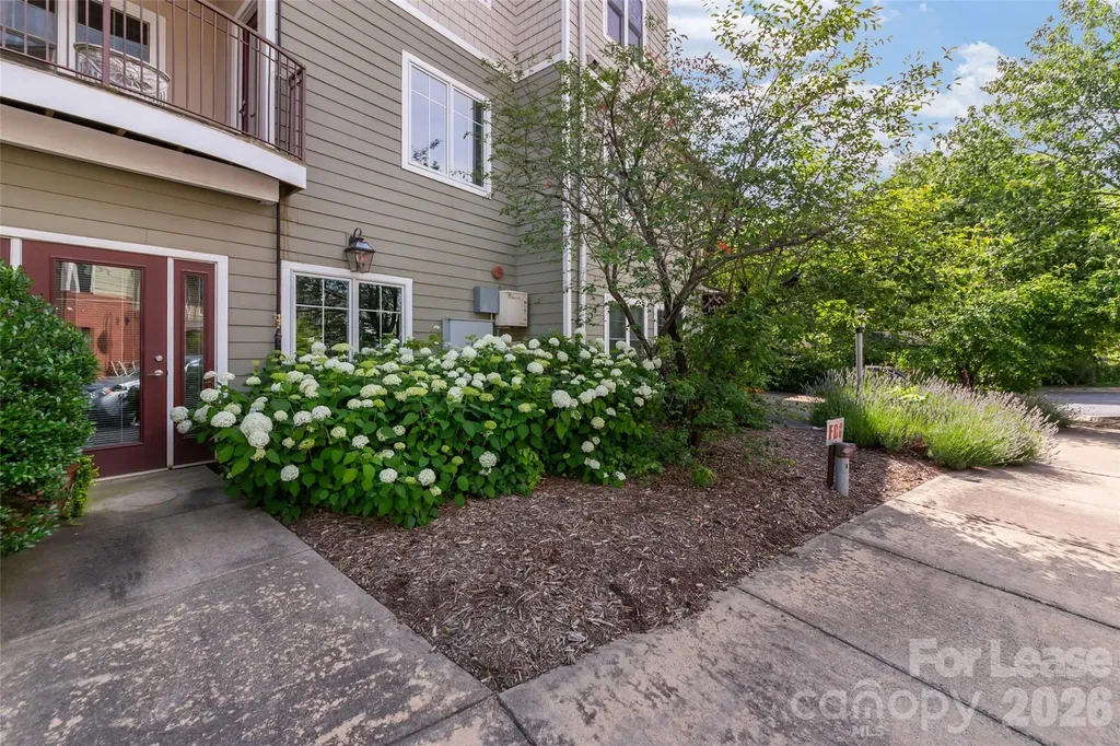 64 Clingman Avenue Asheville NC 28801
