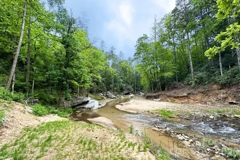 302 Rich Mountain Road Flat Rock NC 28731