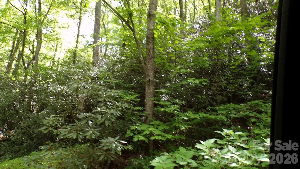 216 Paradise Road Hendersonville NC 28792