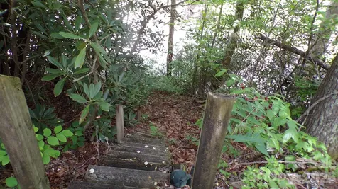 216 Paradise Road Hendersonville NC 28792