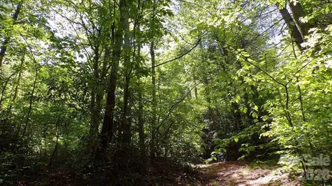 216 Paradise Road Hendersonville NC 28792