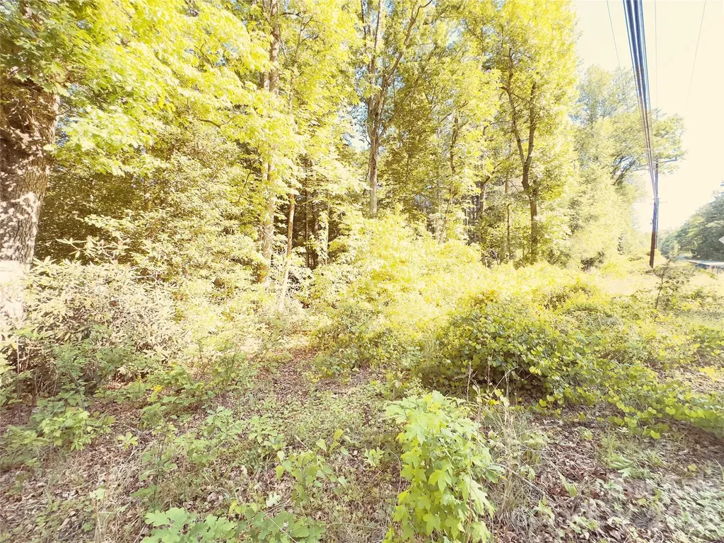 00 Cedar Brook Lane Nebo NC 28761