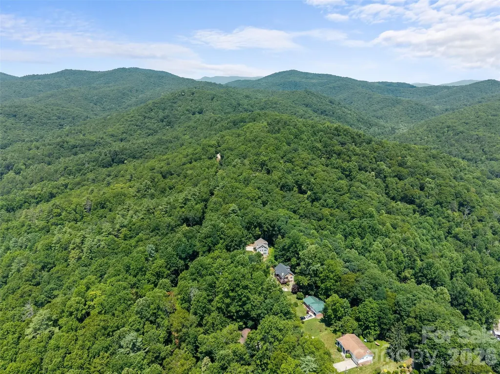323 Burrell Mountain Road Brevard NC 28712