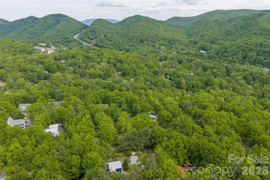 14 Locust Street Black Mountain NC 28711