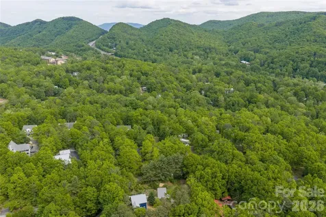14 Locust Street Black Mountain NC 28711